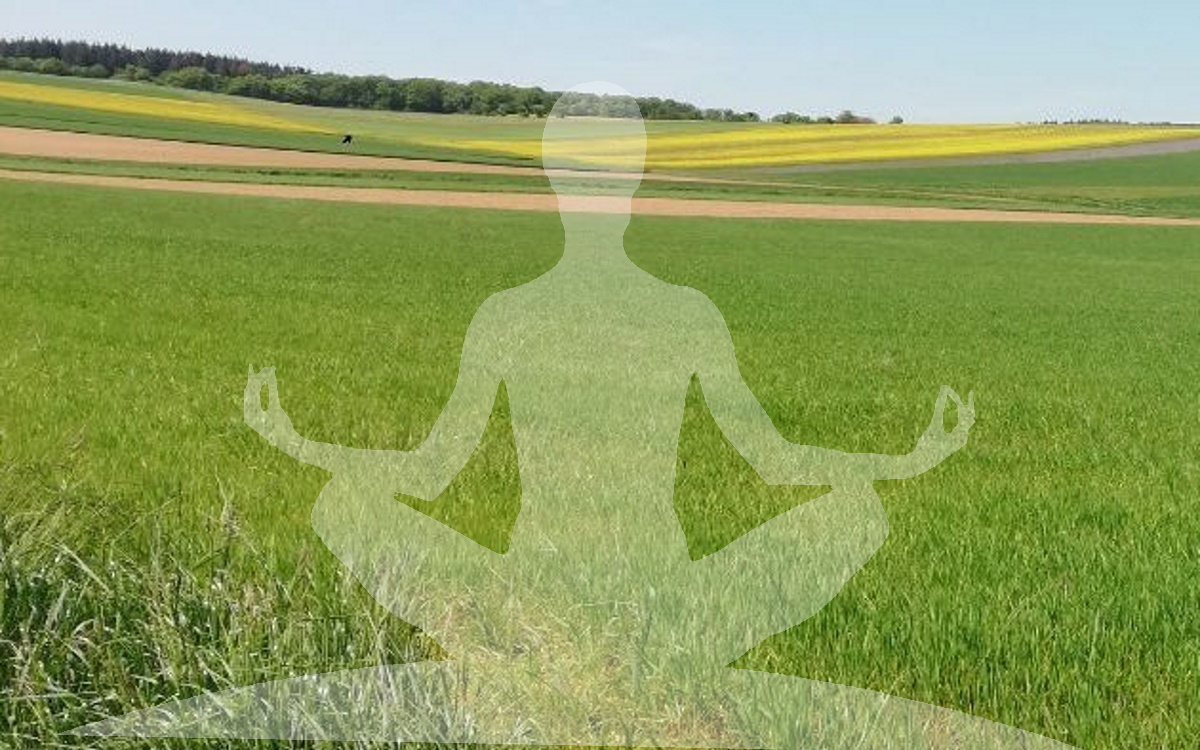 Yoga für das Erd-Element
