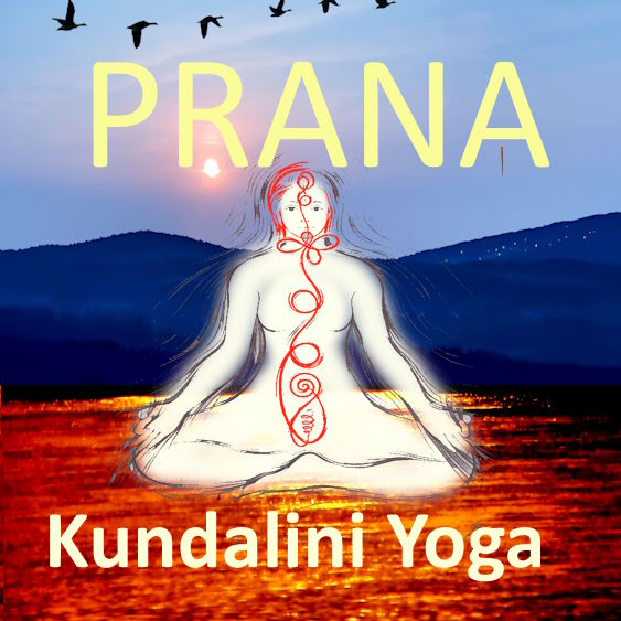 Yoga Kurs